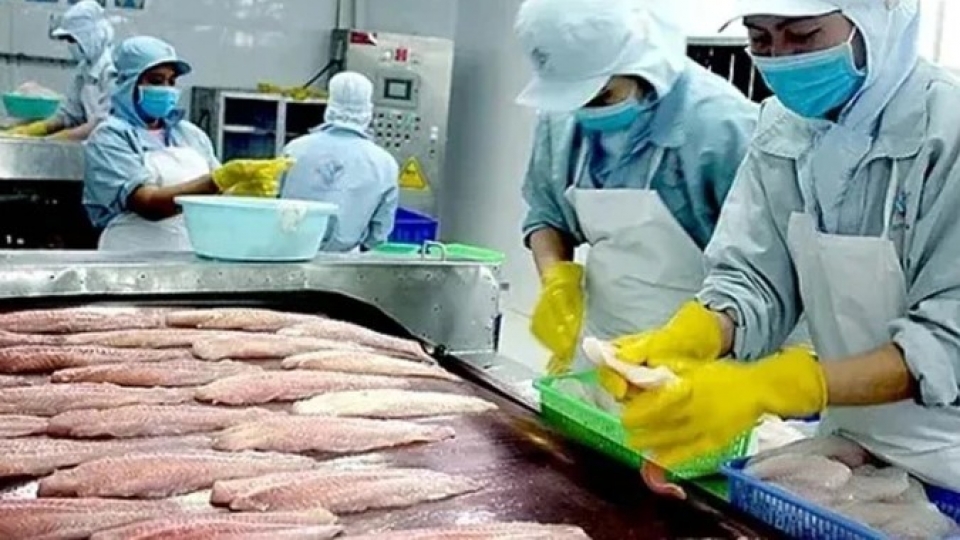 China retains top spot in Vietnamese Tra fish exports